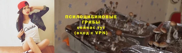 ALPHA PVP Покачи