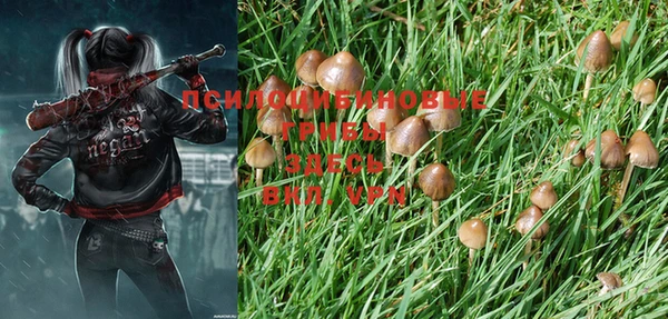 ALPHA-PVP Киров