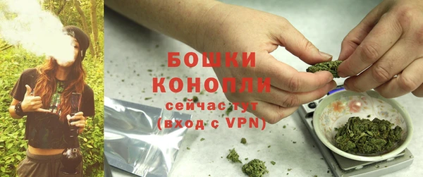 ALPHA PVP Покачи