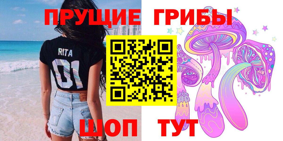 Галлюциногенные грибы Cubensis  Великие Луки  Псилоцибиновые грибы прущие грибы 